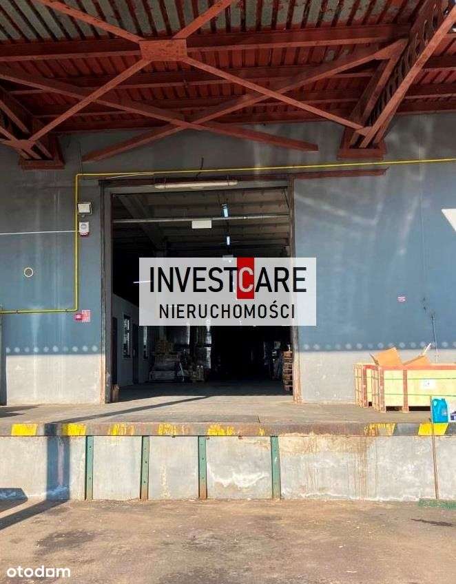 Magazyn 530 mkw Wodzisław - Pełny obrazek: 5/7