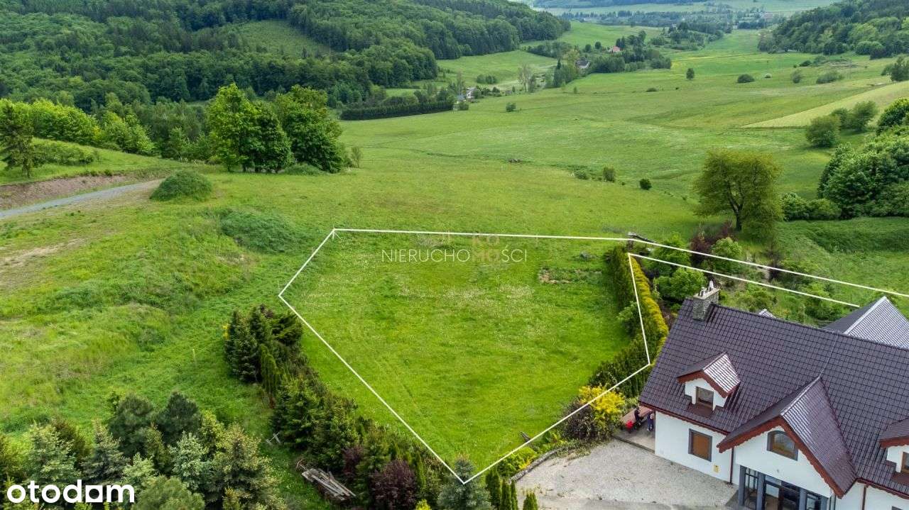 Wspaniała / widokowa / zadrzewiona działka z wz - Pełny obrazek: 4/14