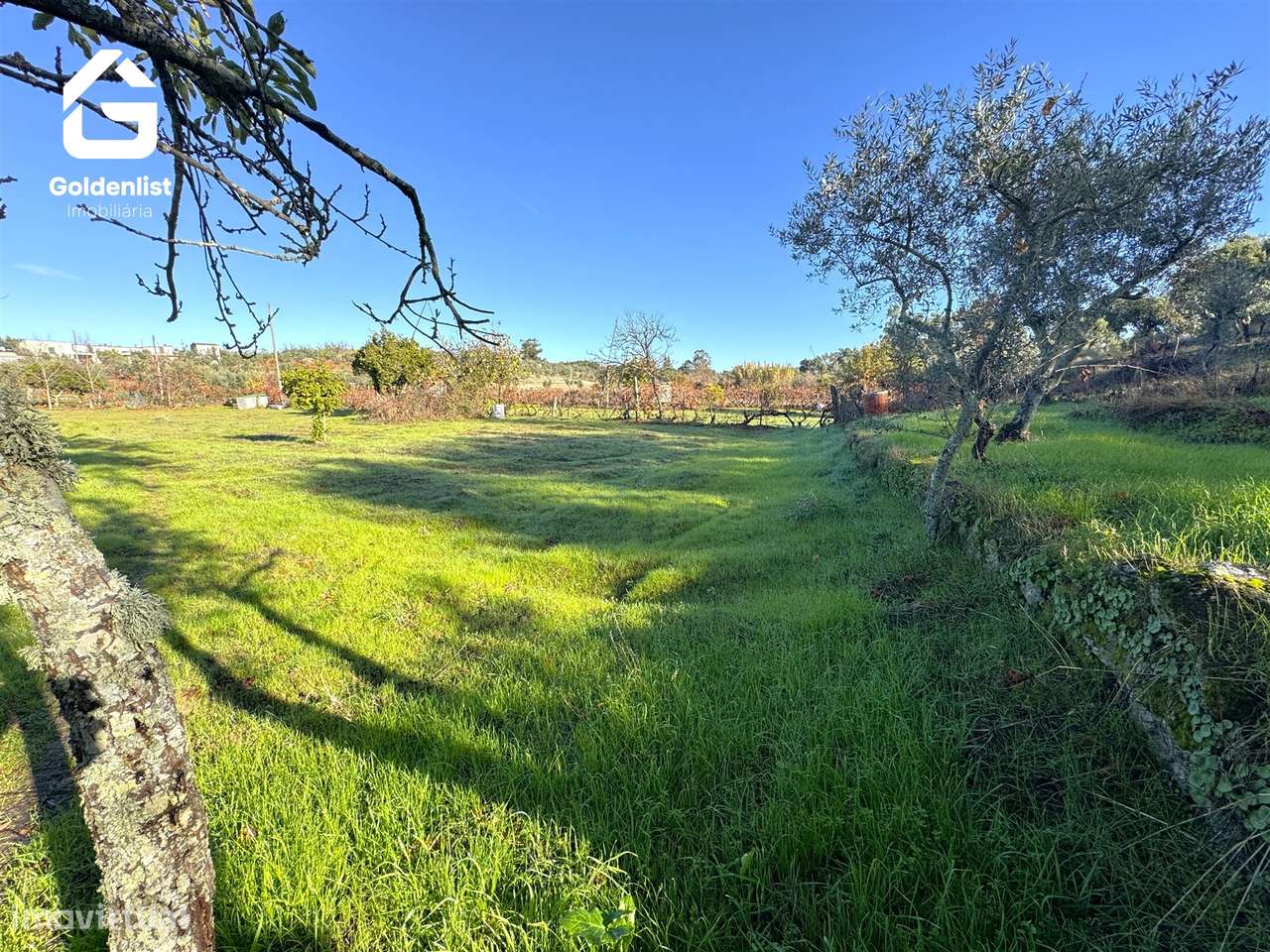 Quinta T3 Venda em Escalos de Cima e Lousa,Castelo Branco-48