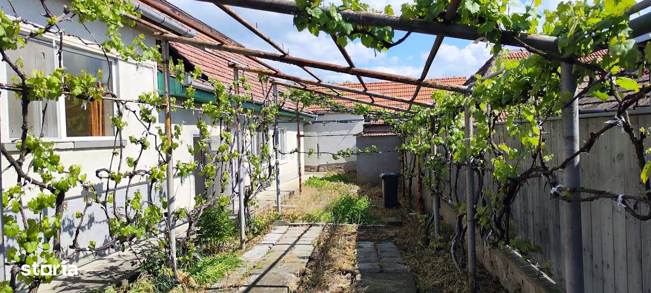 Casa individuala cu 3 camere , curte proprie, pod ,pivnita, Blaj-Hula-9