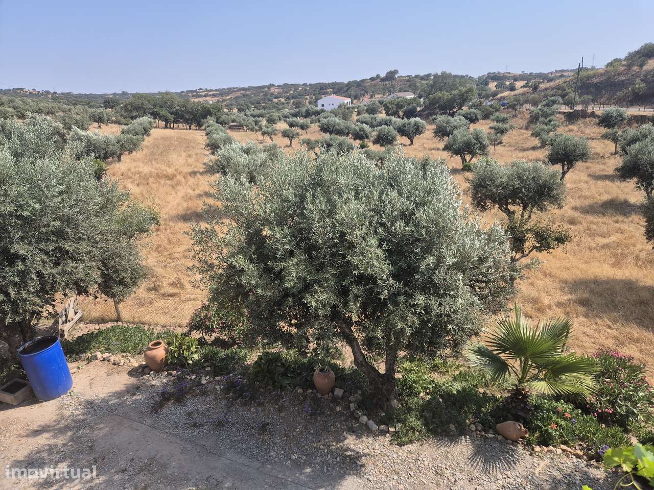 Quinta V5 com 15.000 m2 em Ourique-30