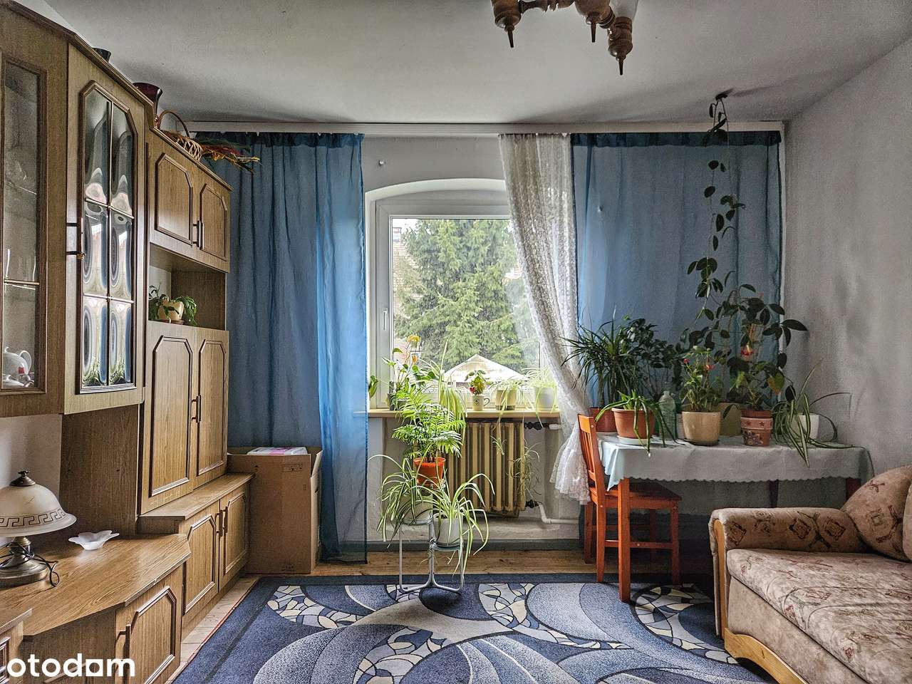 3 pokoje | Wysoki Parter | Praktyczny układ pomieszczeń-1