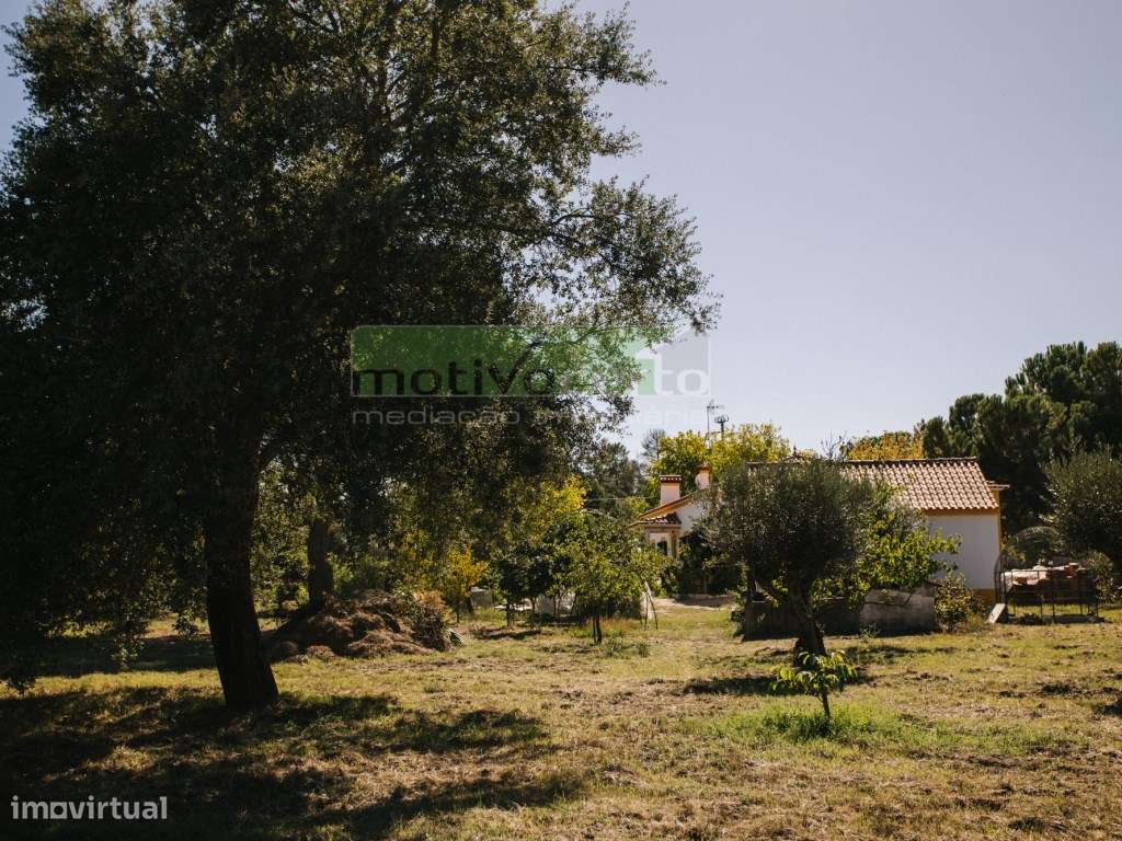 Moradia Térrea T4 em Quinta de 11.250 m² com Árvores de Fruto. Em S...-43