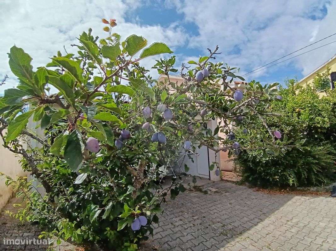 Moradia T3 para venda - Grande imagem: 4/11