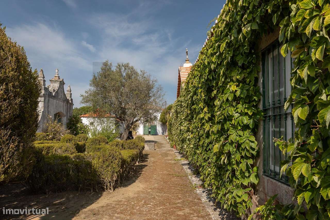 Quinta na freguesia da Trafaria - Grande imagem: 4/60