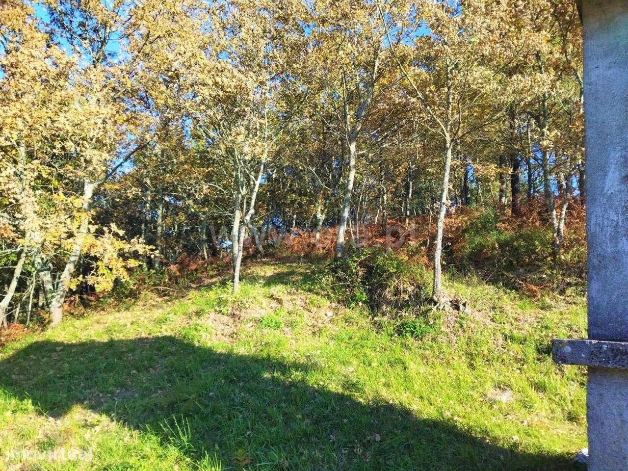 Terreno / Baião, Campelo e Ovil - Grande imagem: 4/5