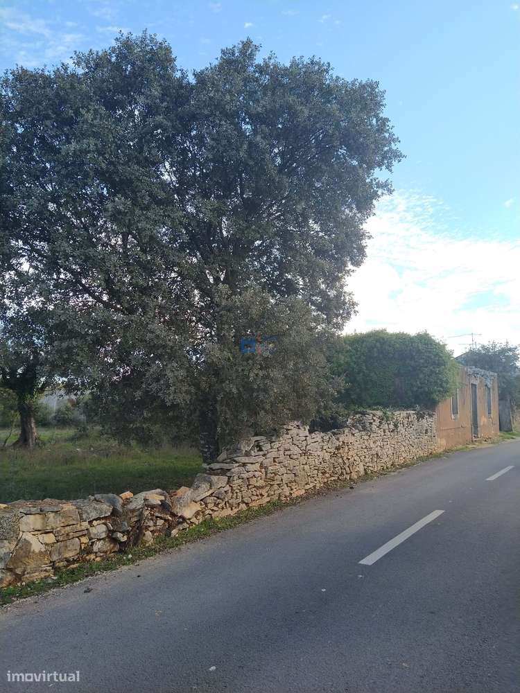 Terreno  em Fátima no lugar de Boleiros-10