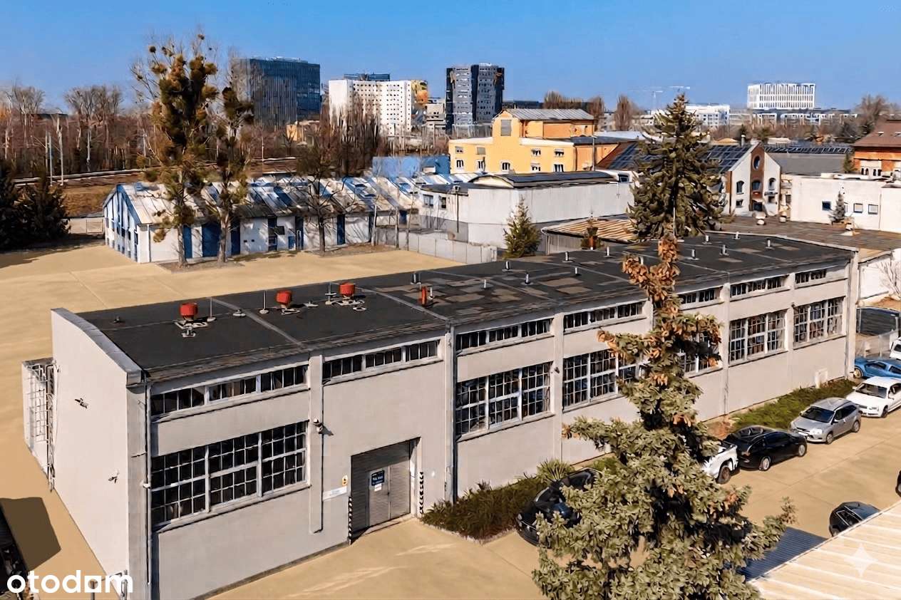 Budynek Biurowy z Magazynem (625 m2) + Hala (538 m2) + Działka 5038 m2-3