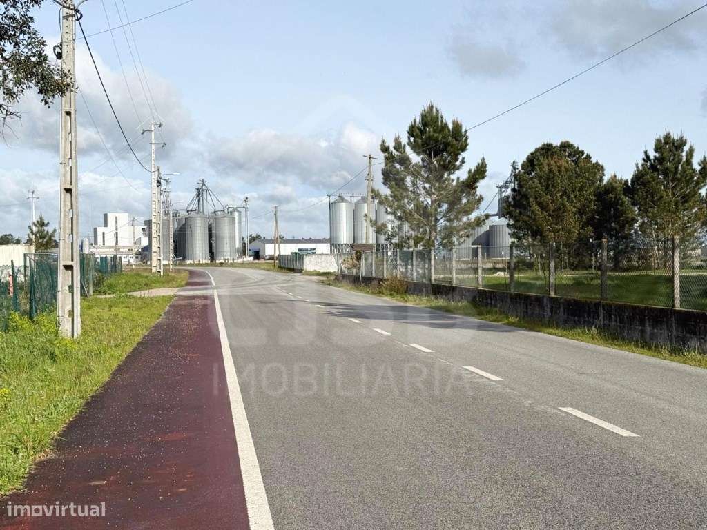Oportunidade - 5 ha | Zona Industrial Salvaterra de Magos-13