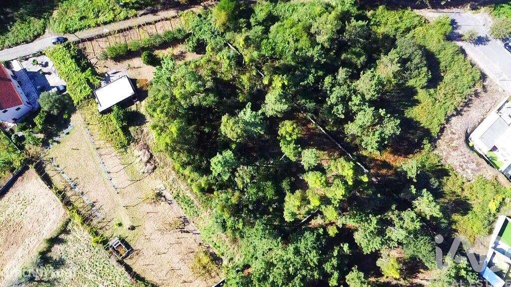 Terreno para construção em Forjães de 2351,00 m2 - Grande imagem: 3/7