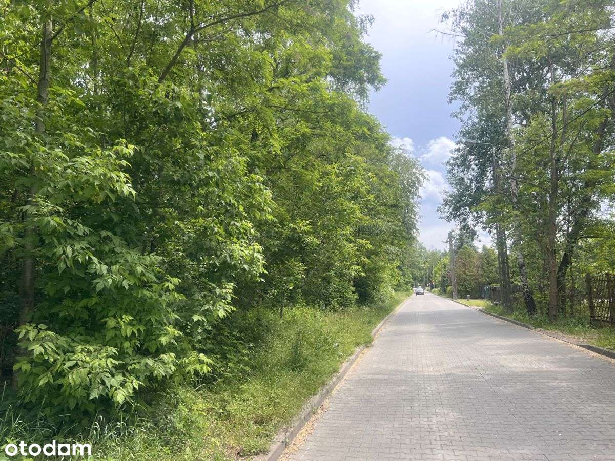 rewelacyjna lokalizacja - Dom pod lasem Magdalenki-1