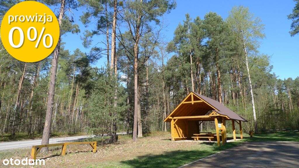 siedlisko, prawie 1 ha ziemi, w pięknym otoczeniu!-11