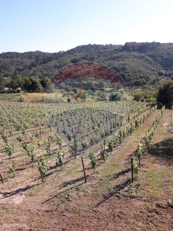 Terreno  para venda