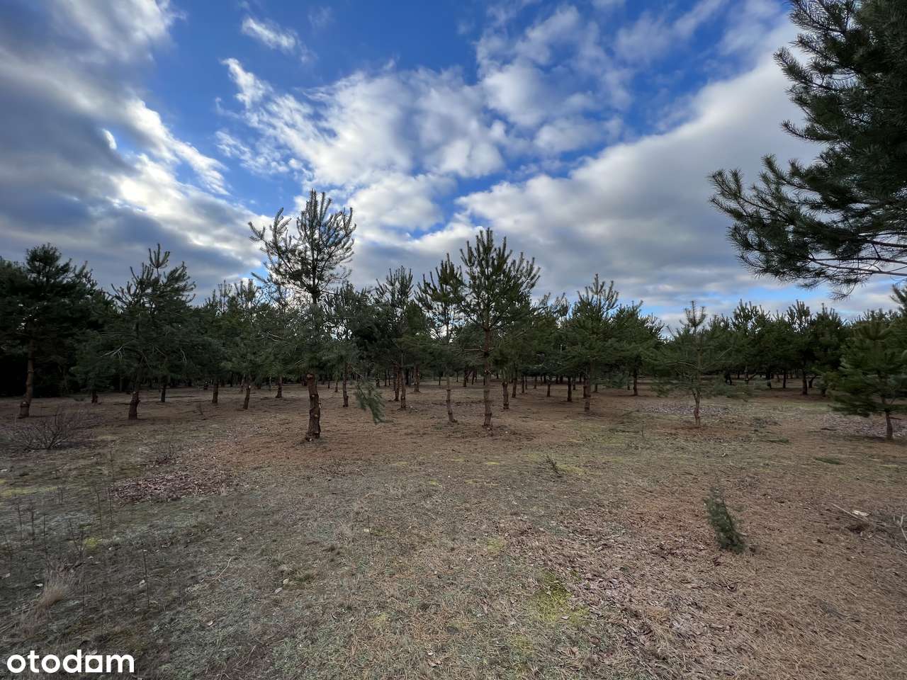 Działki budowlane pośród jezior i lasów-9