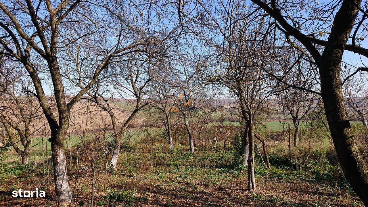 Vand teren in Santelec - Imagine principală: 4/6