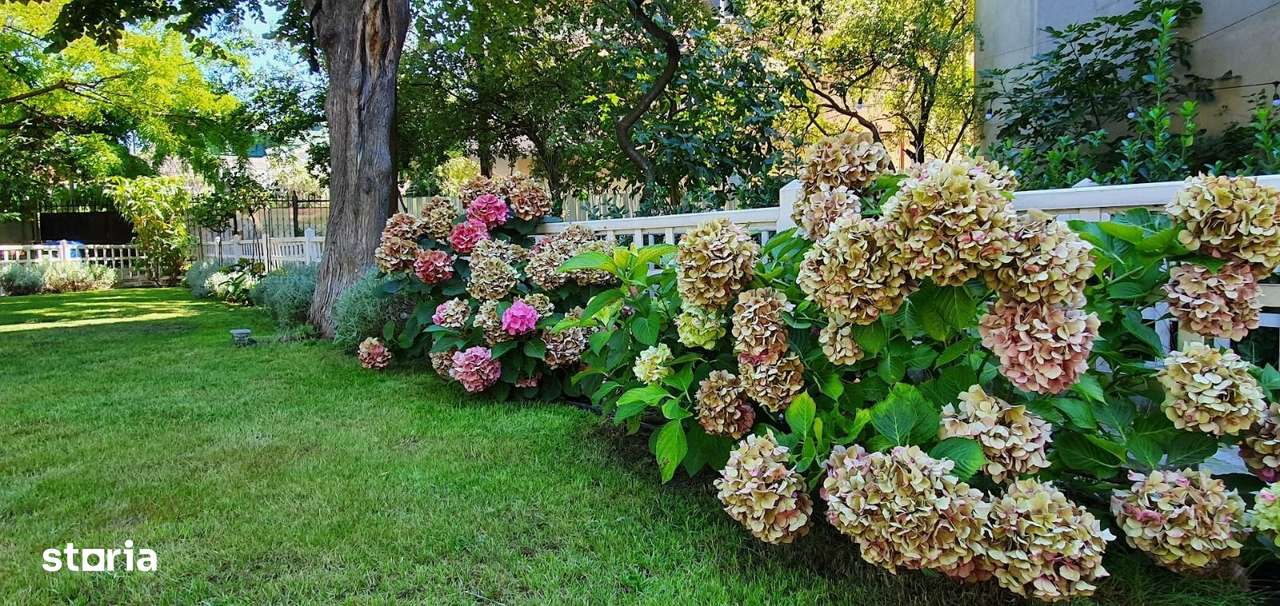 BIJUTERIE ISTORICĂ  SI RAR DE VANZARE in zona ARMENEASCA - Imagine principală: 3/20