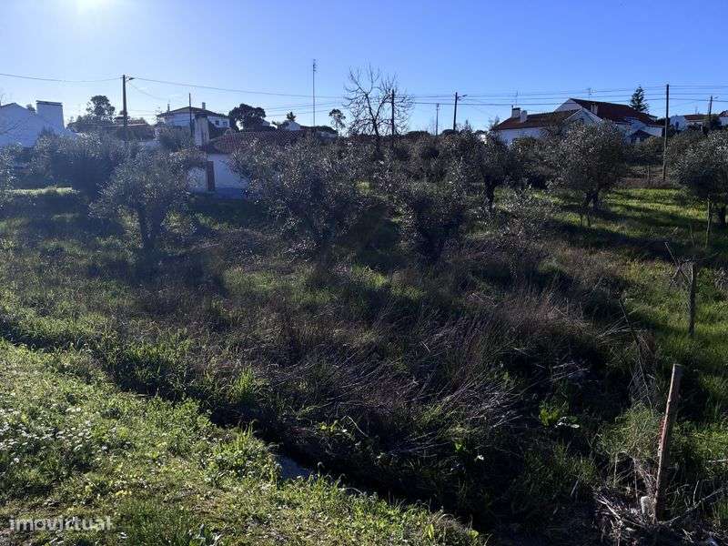 Grande Oportunidade no Alentejo - Ideal para Habitação ou Investimento - Grande imagem: 4/5