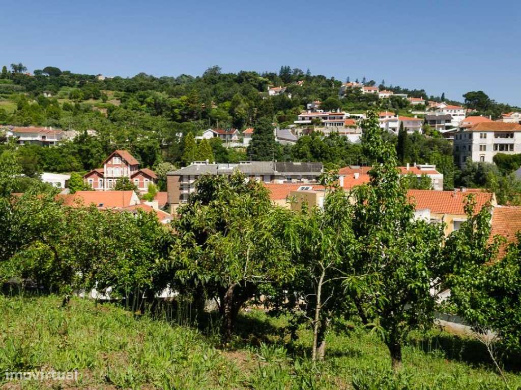 Prédio misto para Venda no centro de Alcobaça - Grande imagem: 5/12