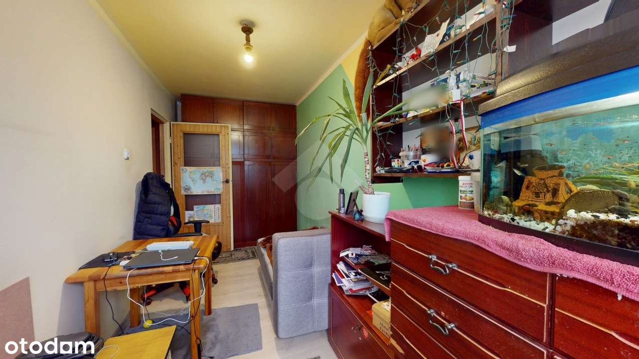 2-pokojowe mieszkanie w zielonej okolicy | do remontu - Pełny obrazek: 5/12