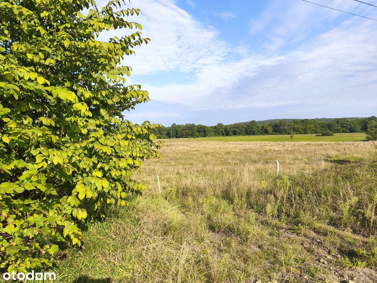 Z dala od spojrzeń sąsiadów-10