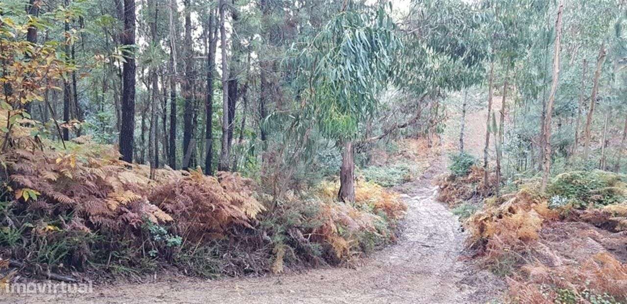 Terreno - Grande imagem: 2/8