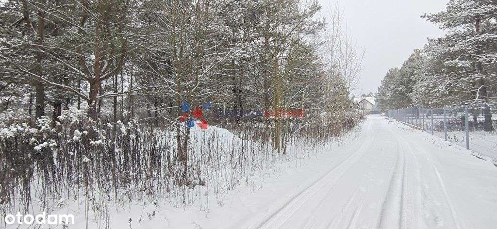 Łoś działka 1118 m2 budowlana, media, las-0