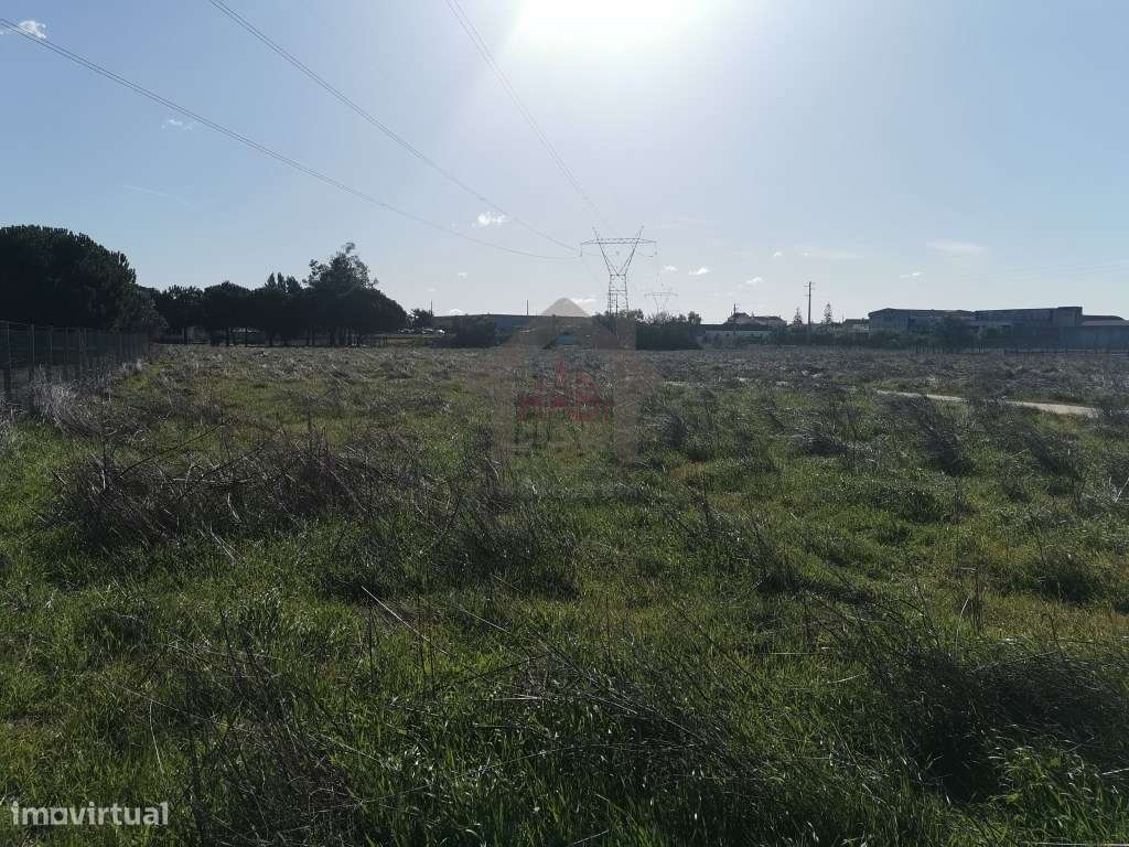 Excelente Terreno Samora Correia - Grande imagem: 3/9