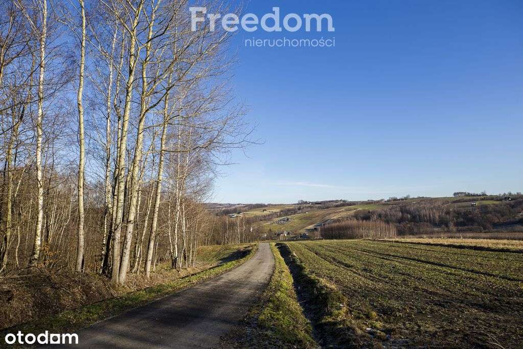 Zadrzewiona działka z widokiem – Błędowa Tycz-8