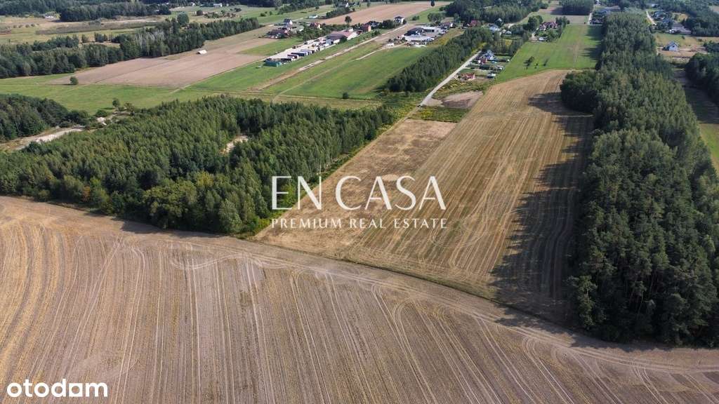 Działka budowlana 1500 m² | Wola Krakowiańska - Pełny obrazek: 4/11