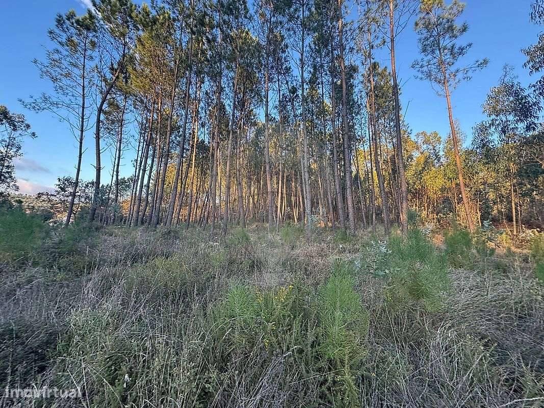 Terreno  para venda - Grande imagem: 4/20