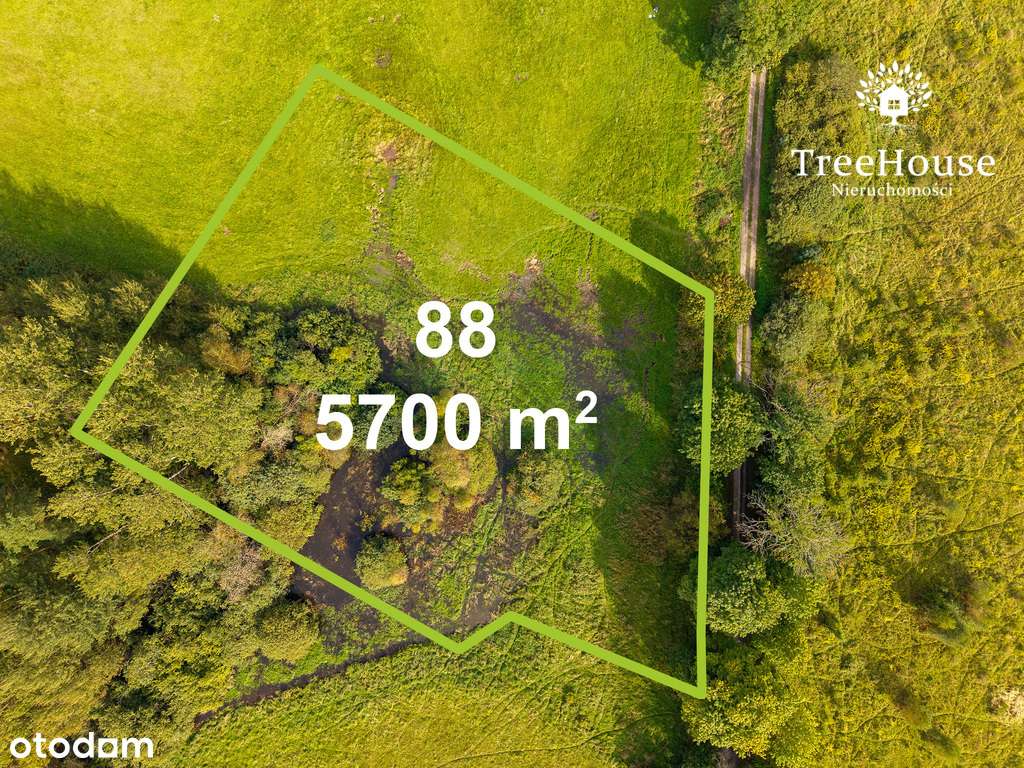 Działka rolna Marcinkowo, gm. Purda-7