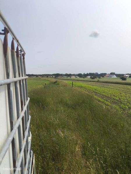 Terreno agrícola Ílhavo/Aveiro - Grande imagem: 5/8