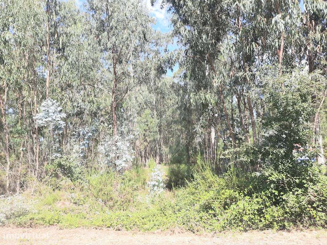 Terreno  para venda - Grande imagem: 2/6