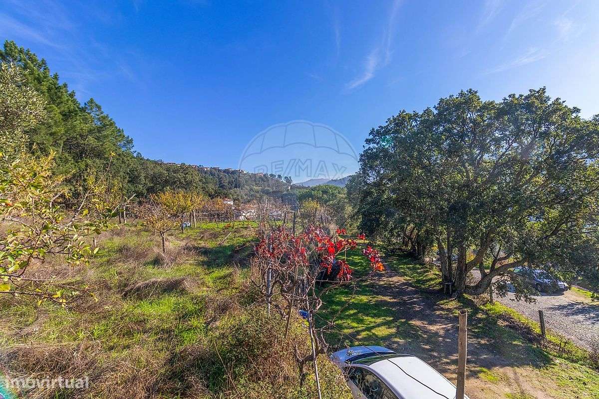 Terreno  para venda-14