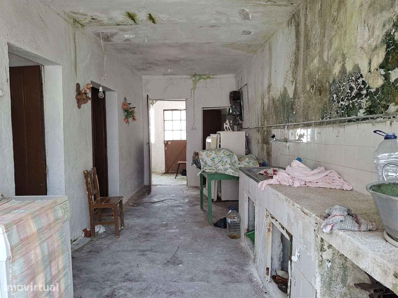 Propriedade Única com 2 Casas para Recuperação e Terreno de 2,6 Hectar-14