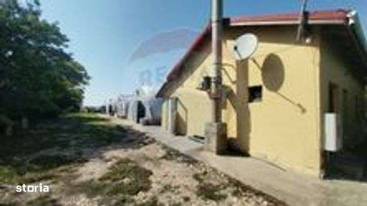 Patru hale si sediu administrativ de vanzare in Mihail Kogalniceanu - Imagine principală: 5/5