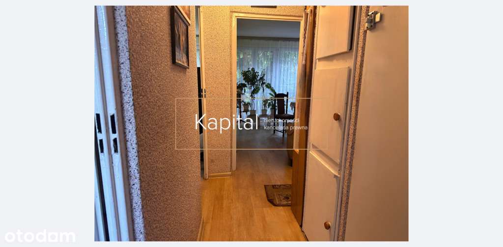 Osobna kuchnia, centrum, zielono, słoneczne;-8