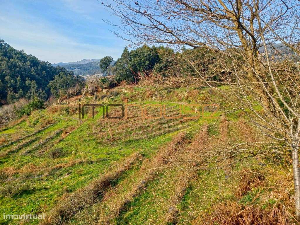 Quinta de 5.6 ha - Varias edificações, ribeiro e vista Douro-13