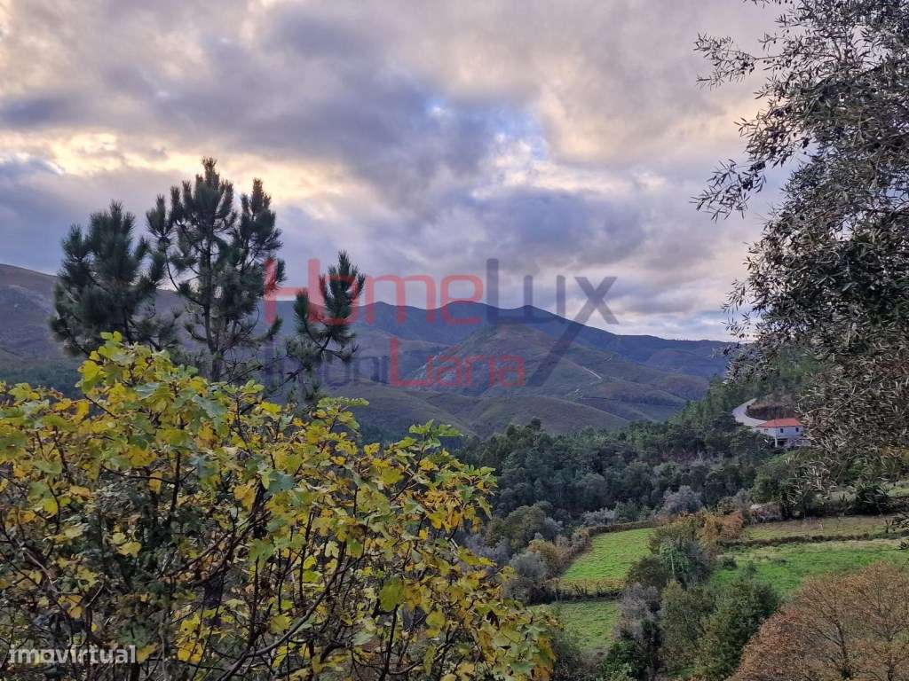 Moradia em xisto para recuperar em Covas do Rio - Grande imagem: 4/26