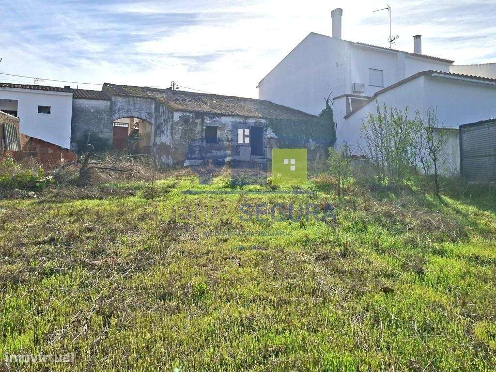 OPORTUNIDADE DE INVESTIMENTO EM PIAS, SERPA - Grande imagem: 5/14