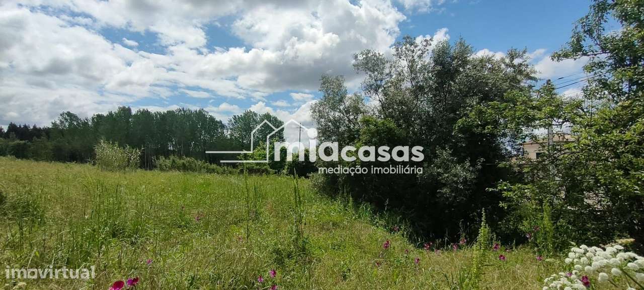 TERRENO URBANO COM DUAS MORADIAS - Grande imagem: 3/15