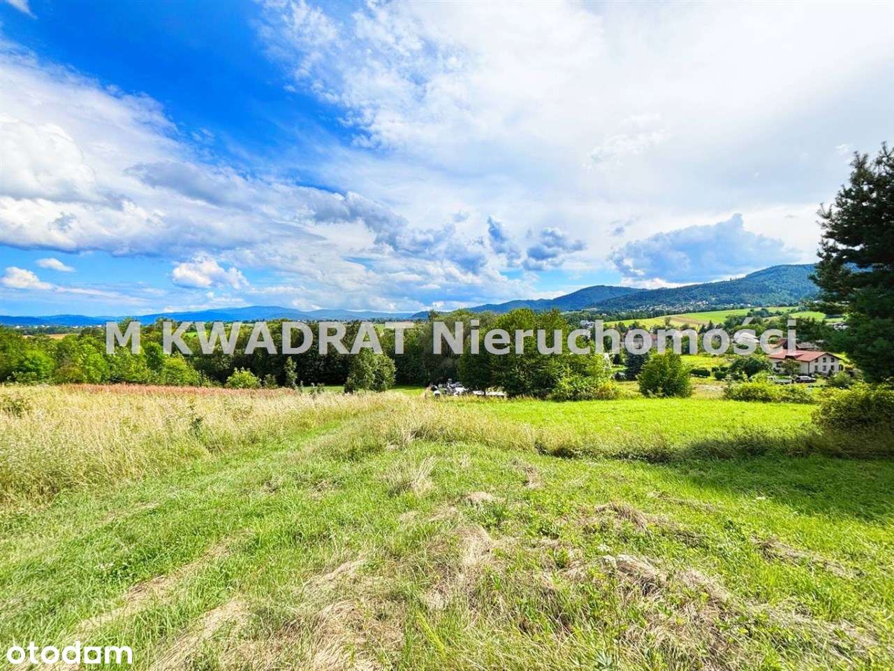 Widokowa Działka! Lipowa! - Pełny obrazek: 4/11