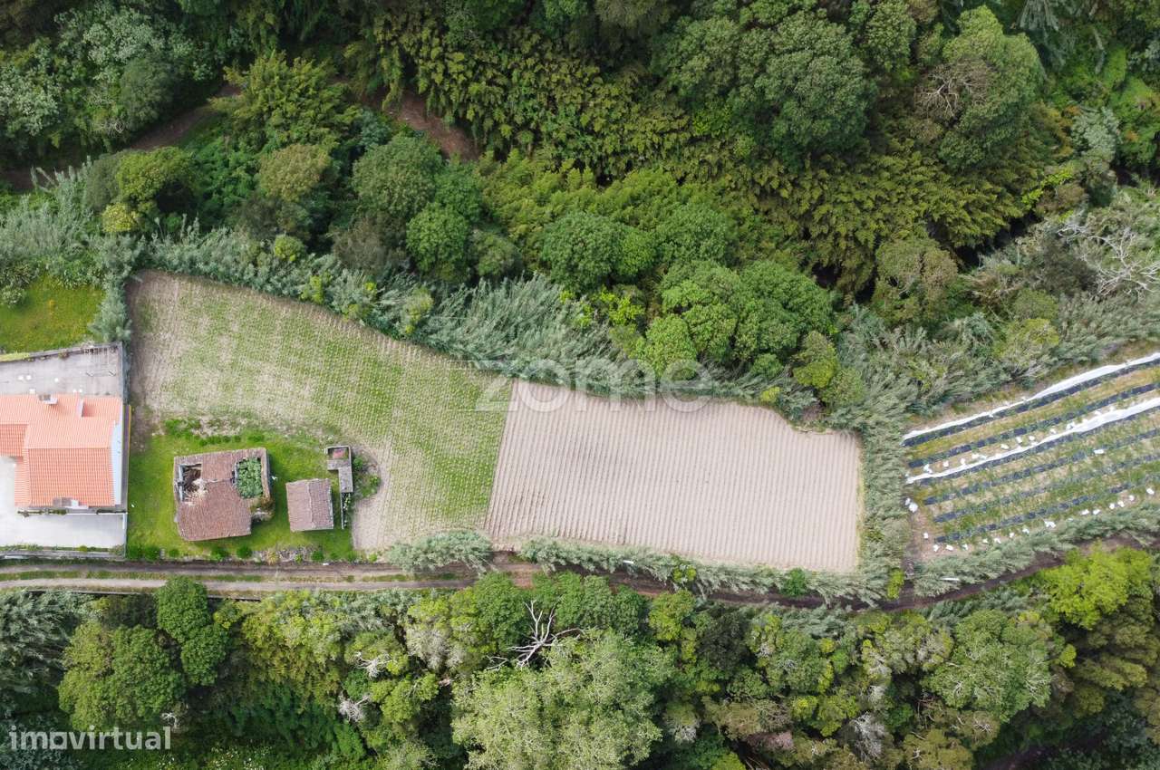 Propriedade com Ruína e Vista Mar – Candelária, São Miguel-5