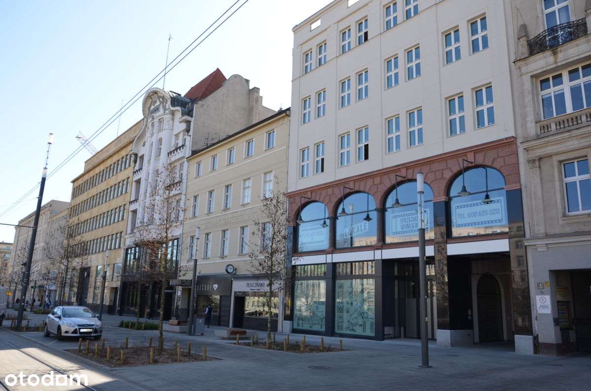 PLac Wolności 6 - centrum Poznań - Pełny obrazek: 4/15