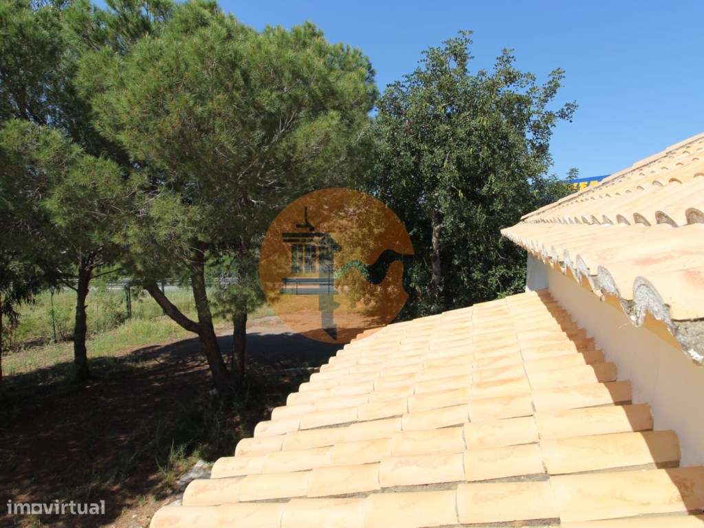 Magnifica Moradia com terreno de grande dimensão !!!-32