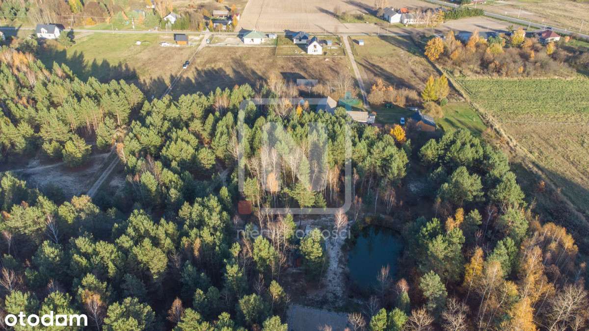 Przy lesie | Roztocze | Warunki Zabudowy | Prąd - Pełny obrazek: 5/5