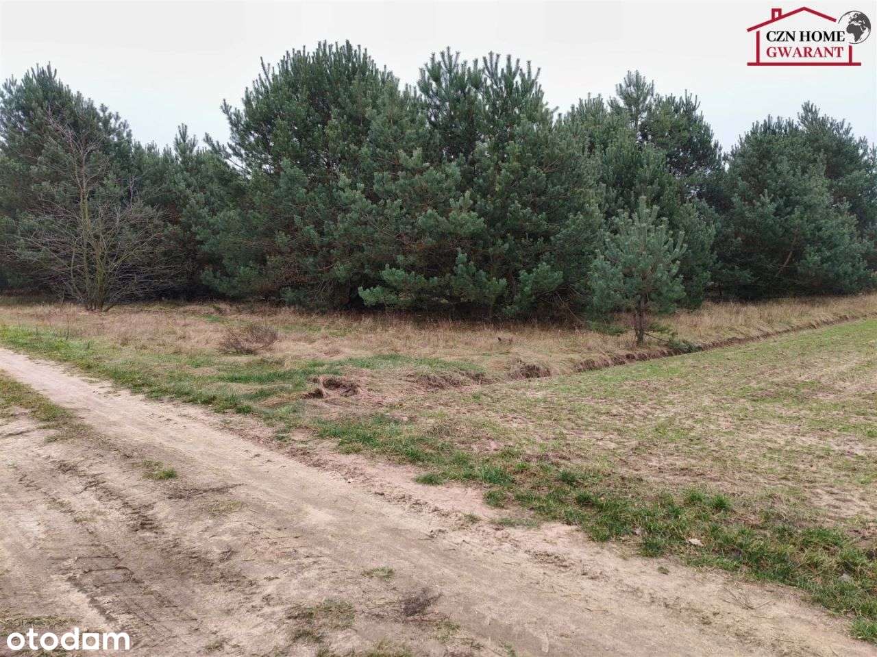 Działka rolno budowlana pod inwestycję.-11