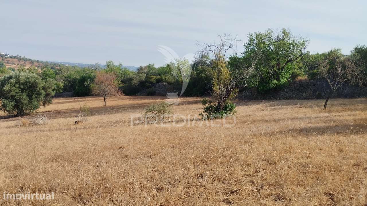 Terreno rustico vista mar Alcaria Cova Estoi - Grande imagem: 3/9