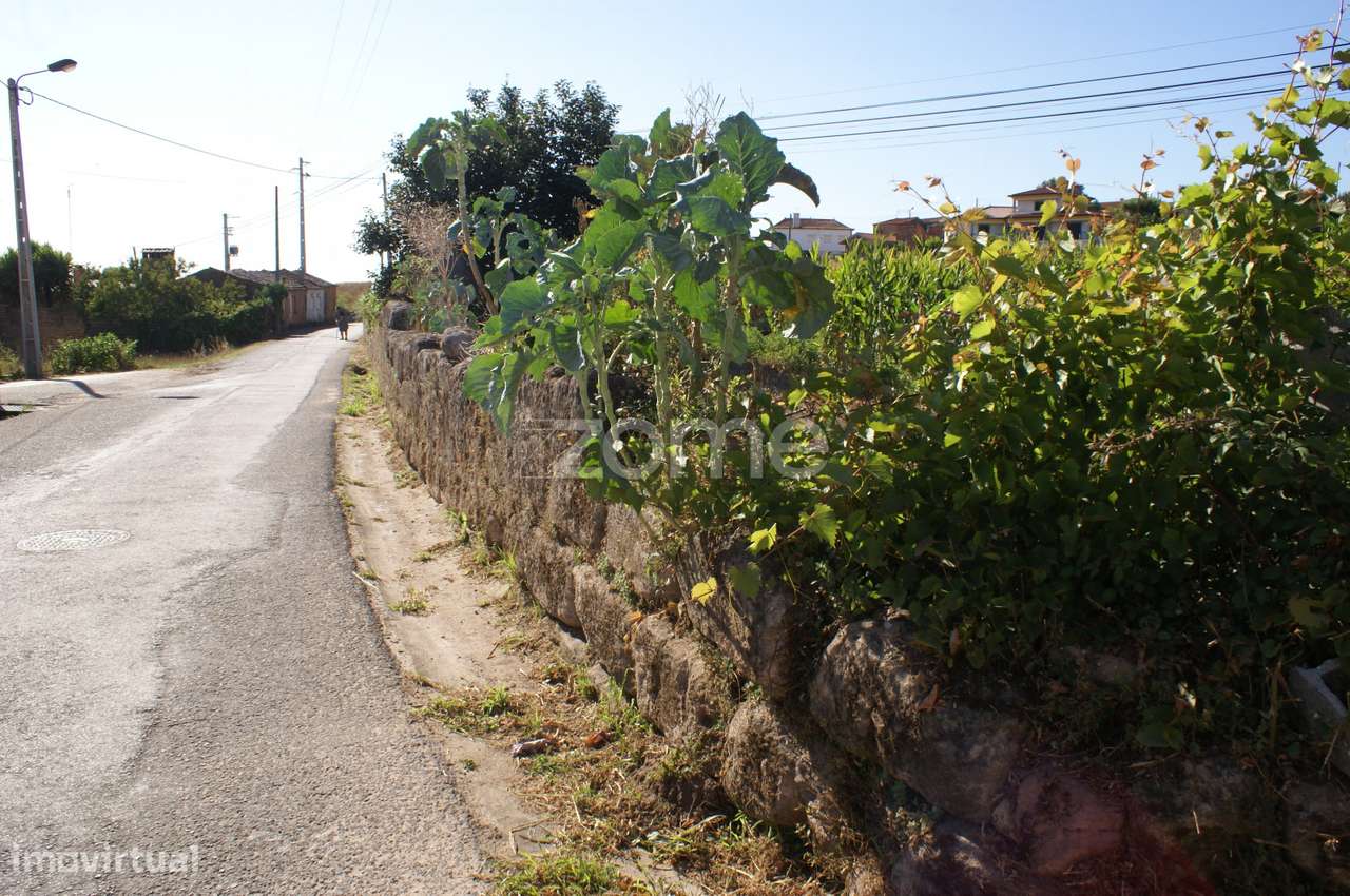 Terreno Urbanizável | Águeda - Grande imagem: 5/16