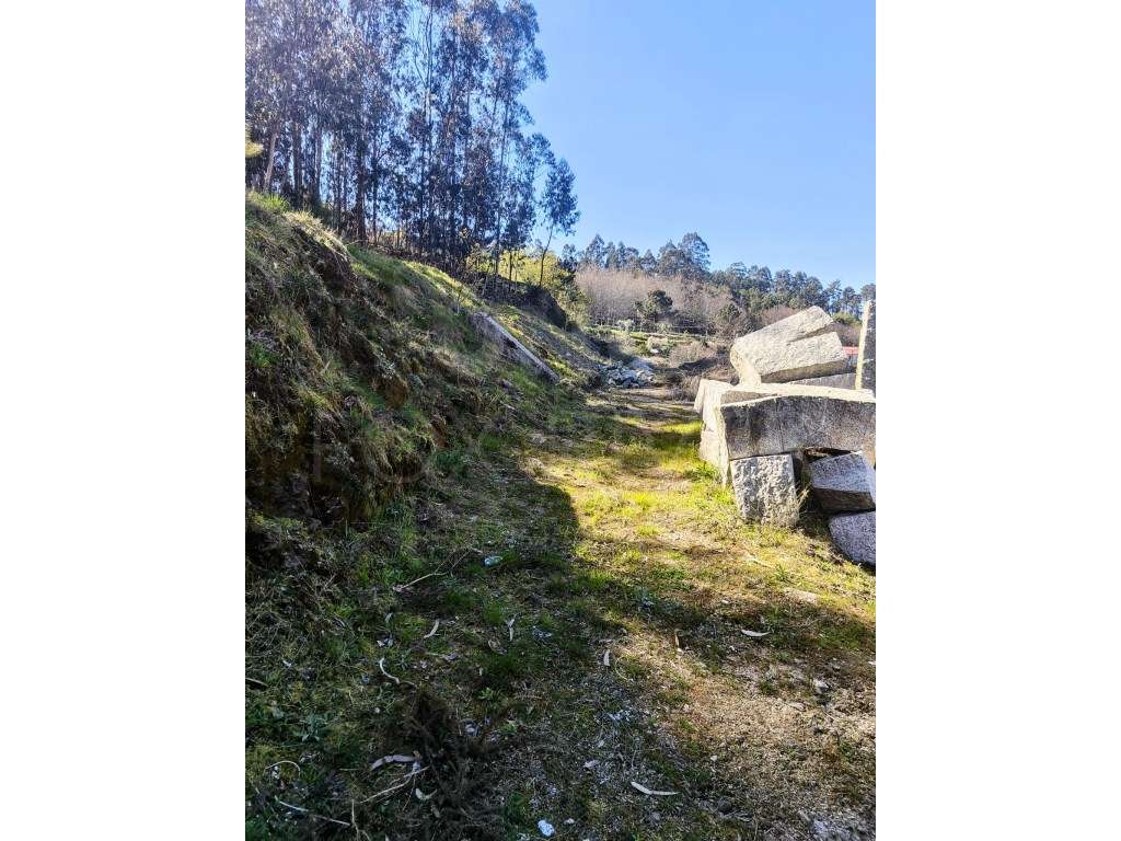 Terreno com Projeto Aprovado em São Julião, Valença - Grande imagem: 3/11